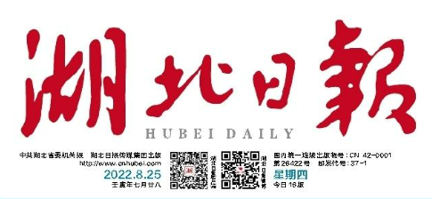 媒体链接 | 镝数科技：帮数字时代公民“用数据说话” 湖北日报